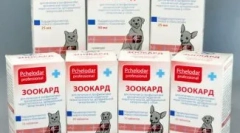 Priprava zokarda za mačke: pomoč pri bolezni srca in ožilja